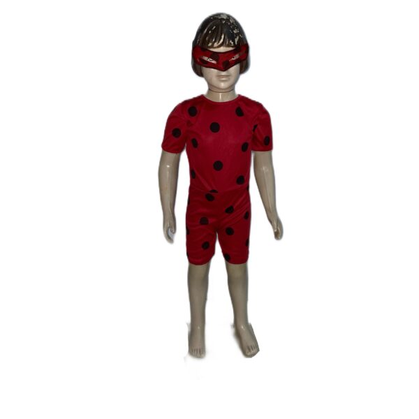 LADY BUG - MIRACULOS