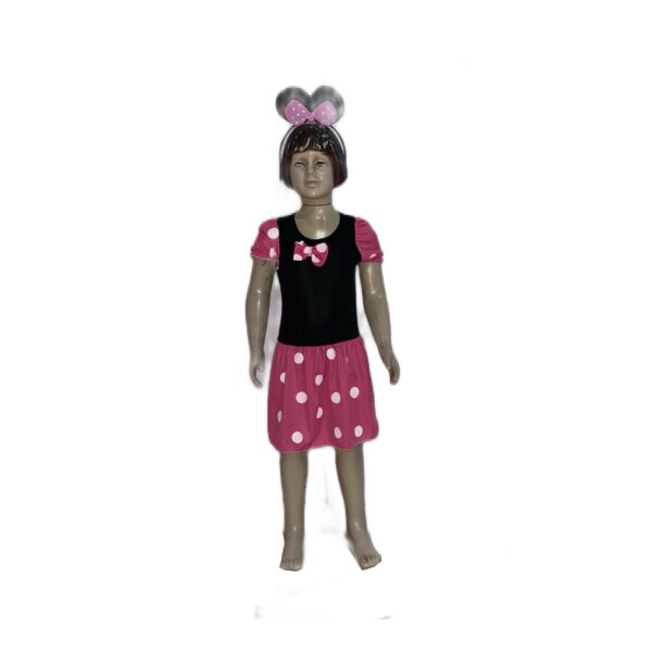 MINIE - RS