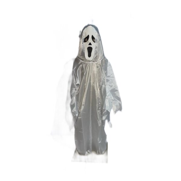 CAPA FANTASMA